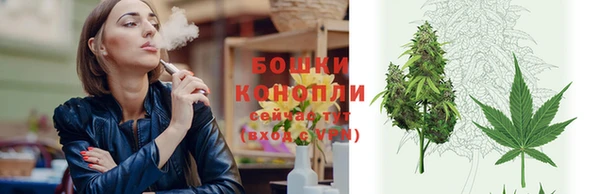 гидропоника Няндома
