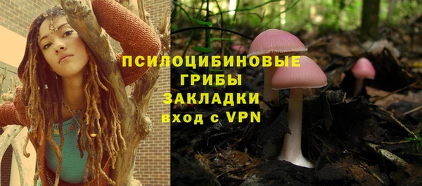 гидропоника Няндома