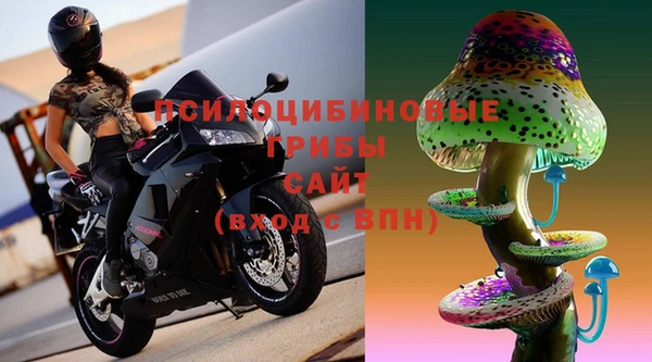 гидропоника Няндома